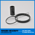 Different Shaped Bonded Ring Magnet